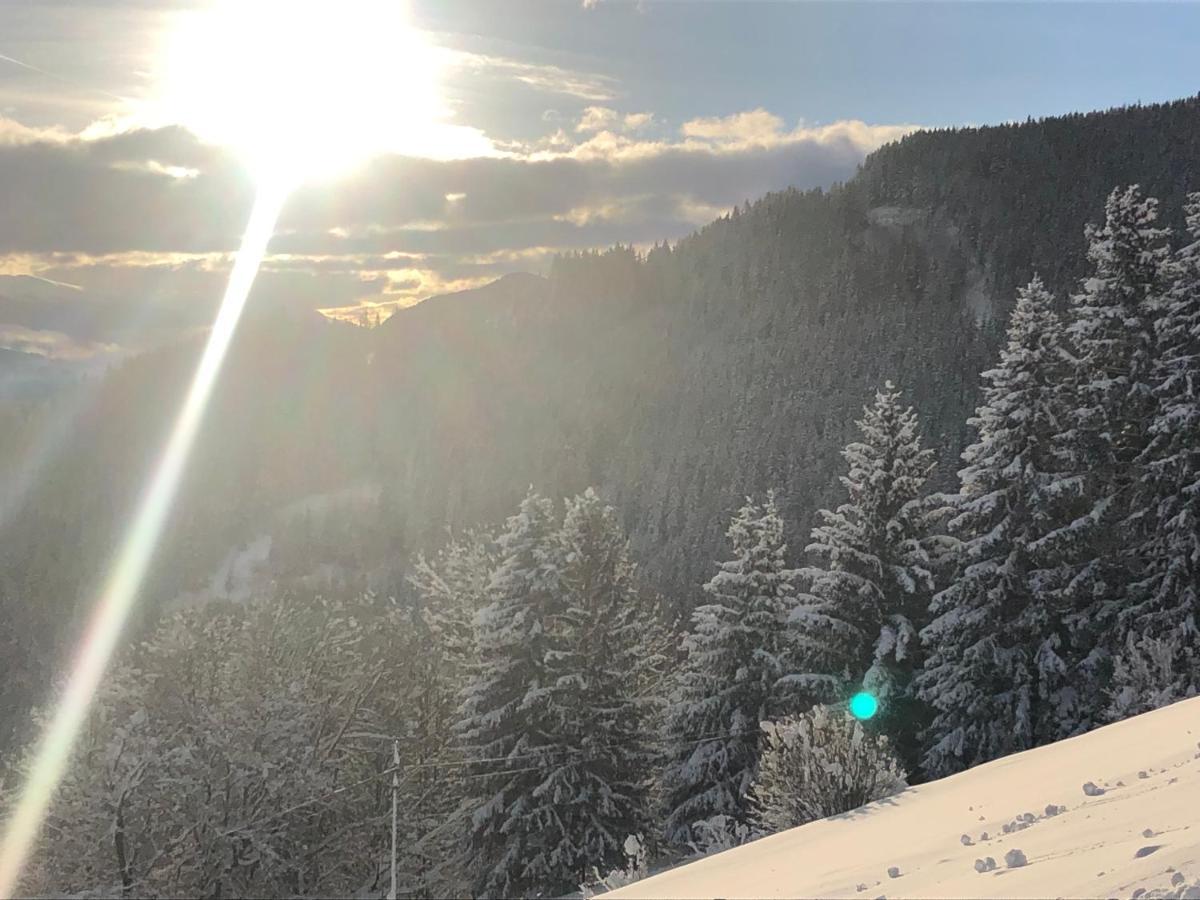 Premiumalmhuette Wiedhupf Peterdorf Bagian luar foto